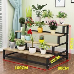 three tiered plant stand with various plants on it and measurements for each shelf in front of the window