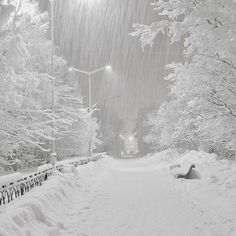 a snow covered park bench sitting under a street light next to a row of trees