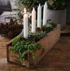 some candles are sitting in a wooden box with greenery and pine cones on it