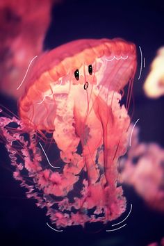 an orange and pink jellyfish floating in the water with its eyes open, looking like it's smiling