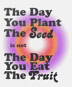 the day you plant the seed is not the day you eat the fruit