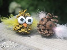 two pine cones with eyes and feathers are sitting next to each other on a wooden surface