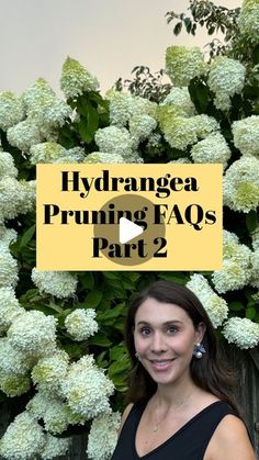 a woman standing in front of flowers with the words hydrangea pruning faqs part 2