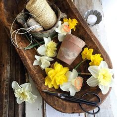 some flowers are sitting on a wooden table with scissors and thread spools next to it