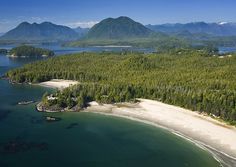 an aerial view of the beach and forested area with red arrow pointing to the left