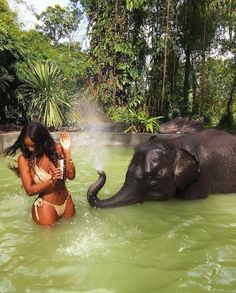 an elephant and a woman in the water