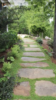 a stone path in the middle of a lush green yard