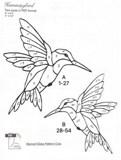 two hummingbirds flying next to each other with numbers on the wings and numbers below them