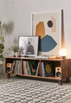 an entertainment center with books, speakers and pictures on the wall next to a potted plant