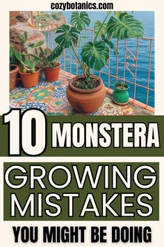 there are plants growing in pots on top of a table with the words, 10 monstera growing mists you might be doing