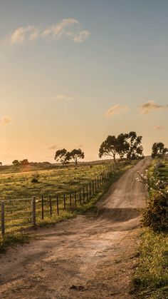 an empty dirt road in the middle of a grassy field