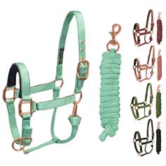 several different types of bridles and reins