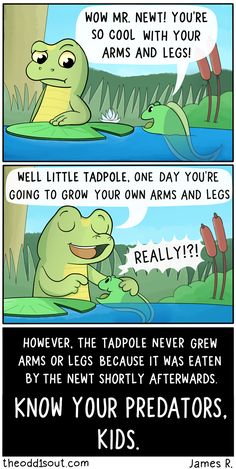 a comic strip with an image of a turtle and the caption, know your predators