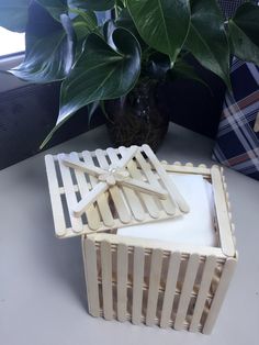 three wooden clothes pins in a box next to a potted plant and other items