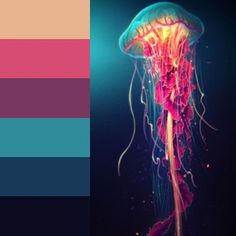 a jellyfish with multicolor swatches in the water