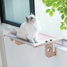 a white cat sitting on top of a window sill next to a green plant