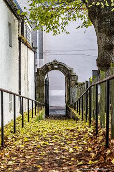 an alley way with trees and leaves on the ground in front of it, surrounded by buildings