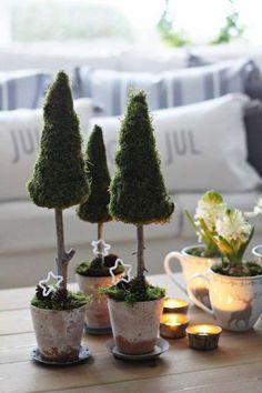 three potted trees sitting on top of a wooden table next to candles and flowers