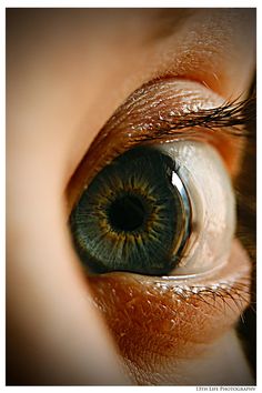 a close up view of an eye with green iris