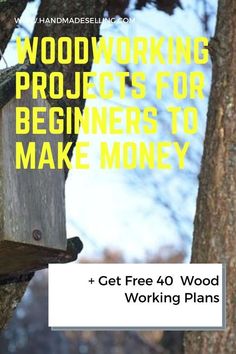 Woodworking Kickstart: Beginner Projects & Tips Easy Small Wood Projects, Woodworking Plans Patterns, Handmade Wood Crafts, Wood Projects For Beginners, Woodworking Basics, Not Surprised, Diy Wooden Projects