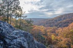 a rocky cliff with trees in the background