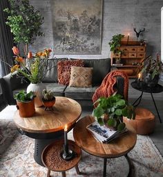 a living room filled with furniture and lots of plants on top of it's tables