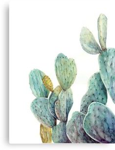 a watercolor painting of a cactus plant on a white background with blue and green colors