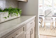 a kitchen counter with a planter on top of it