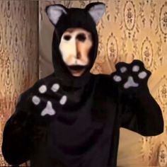 a person wearing a cat costume and holding their hands up