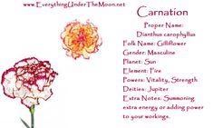 a card with two flowers on it and the words, carnation proper name dianthus corchius foll n gillflower tender - maccaline