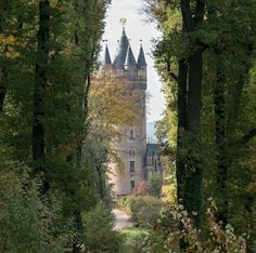 an old building surrounded by trees and foliage