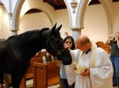 a man standing next to a black horse in a church