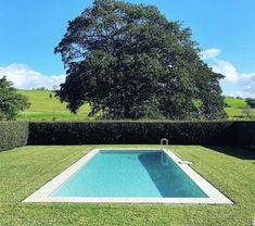 an empty swimming pool in the middle of a lush green yard with trees and bushes