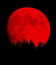 the full red moon is seen over some trees