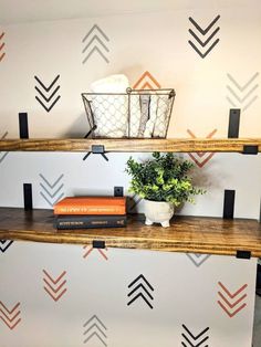 two shelves with books and a plant on them