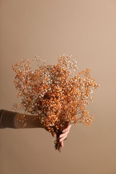 a person holding a bunch of flowers in their hand with the stems sprouting out