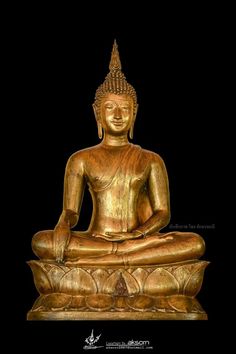 a golden buddha statue sitting on top of a black background with the words,'buddhist meditation