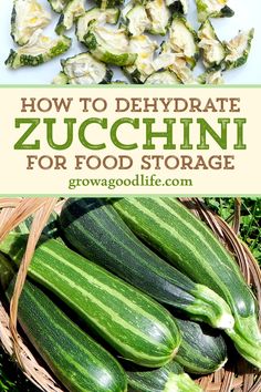 zucchini in a basket with the title how to dehydrate zucchini for food storage