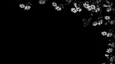 black and white photograph of flowers with butterfly on it's backgrounge