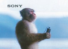 a monkey is holding a camera in its hand and the caption says, sony