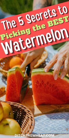 There are five things you need to know if you want to pick the ripest and juiciest watermelon this summer. These how to pick a watermelon tips will save you from buying a tasteless watermelon. Use these tips to make sure you pick a sweet watermelon this summer! https://www.rfr.bz/pme4t3b Watermelon Tips, Pick A Watermelon, Best Watermelon, Watermelon Popsicles, Satisfying Eats, Sweet Watermelon