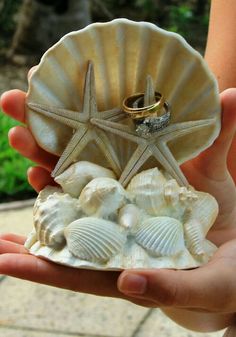 a person holding a shell with two wedding rings on it and some seashells