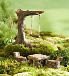 a miniature garden with moss, rocks and a swing