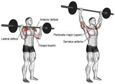 an image of a man doing exercises with barbells