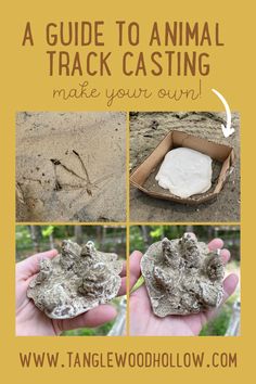 how to make an animal track in the sand with pictures and instructions for making it