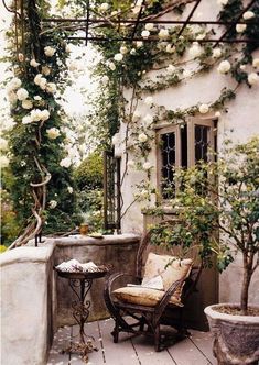 an outdoor patio with white roses and potted plants