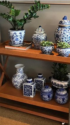 several blue and white vases sitting on a shelf next to a potted plant