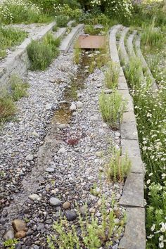 an outdoor garden with rocks and plants on the ground, along side a stone path