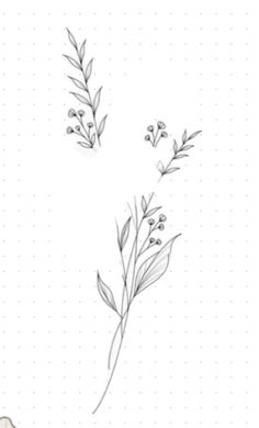 a drawing of some flowers on a white background