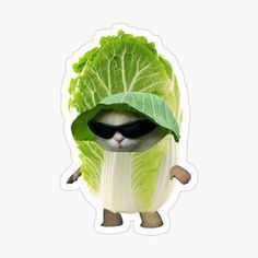 a cat in a lettuce costume sticker